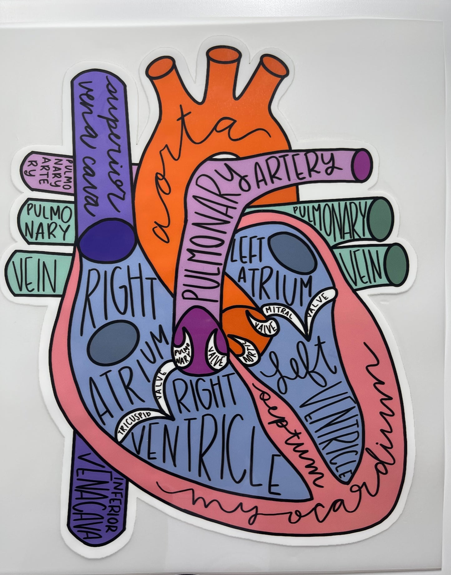 T-1 Heart