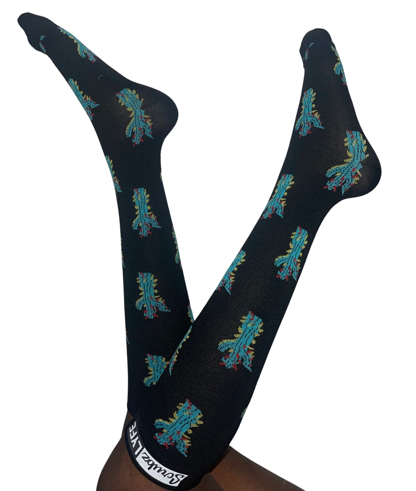 S-60 Colorful Cactus