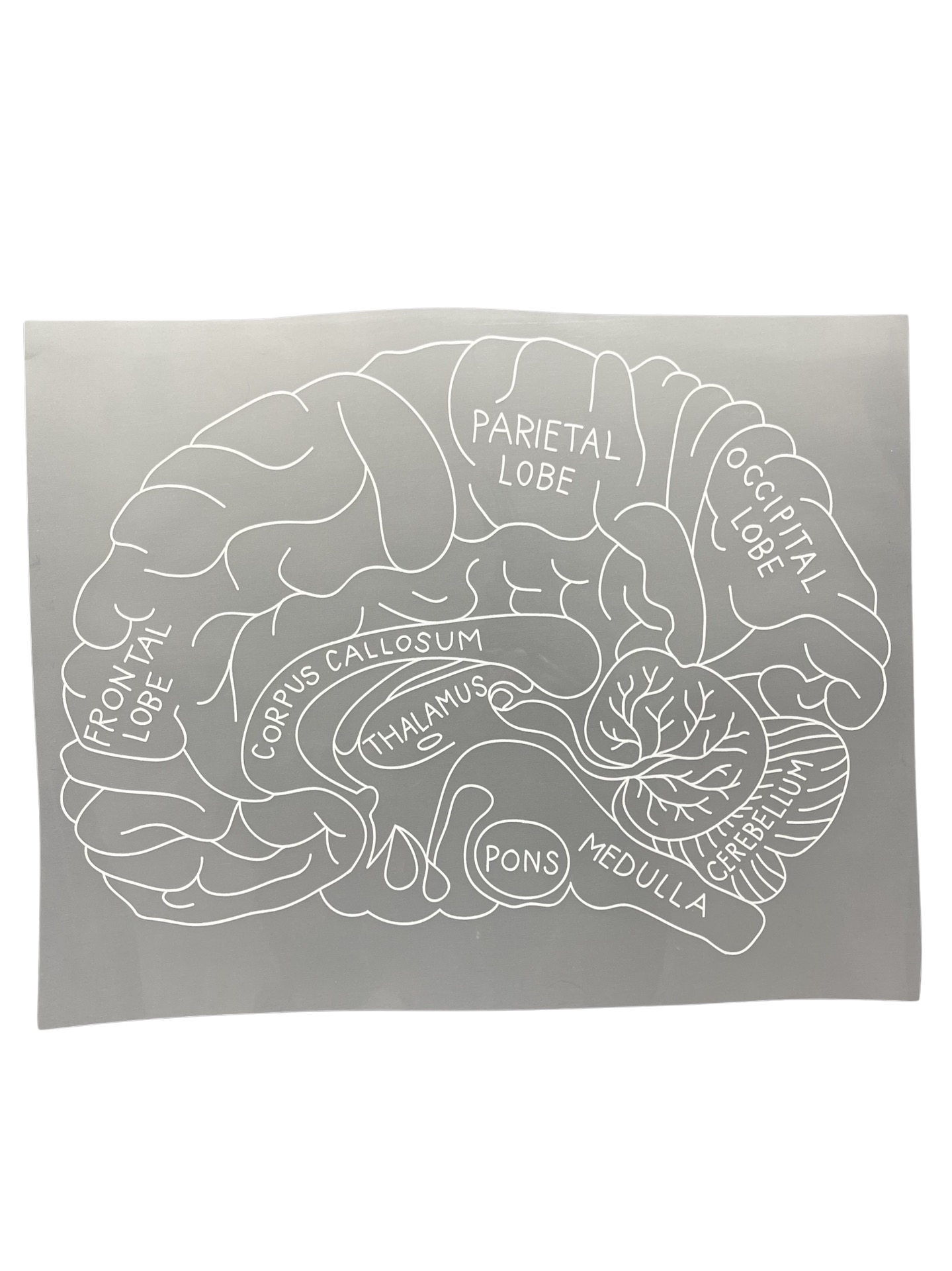 T-4 Brain