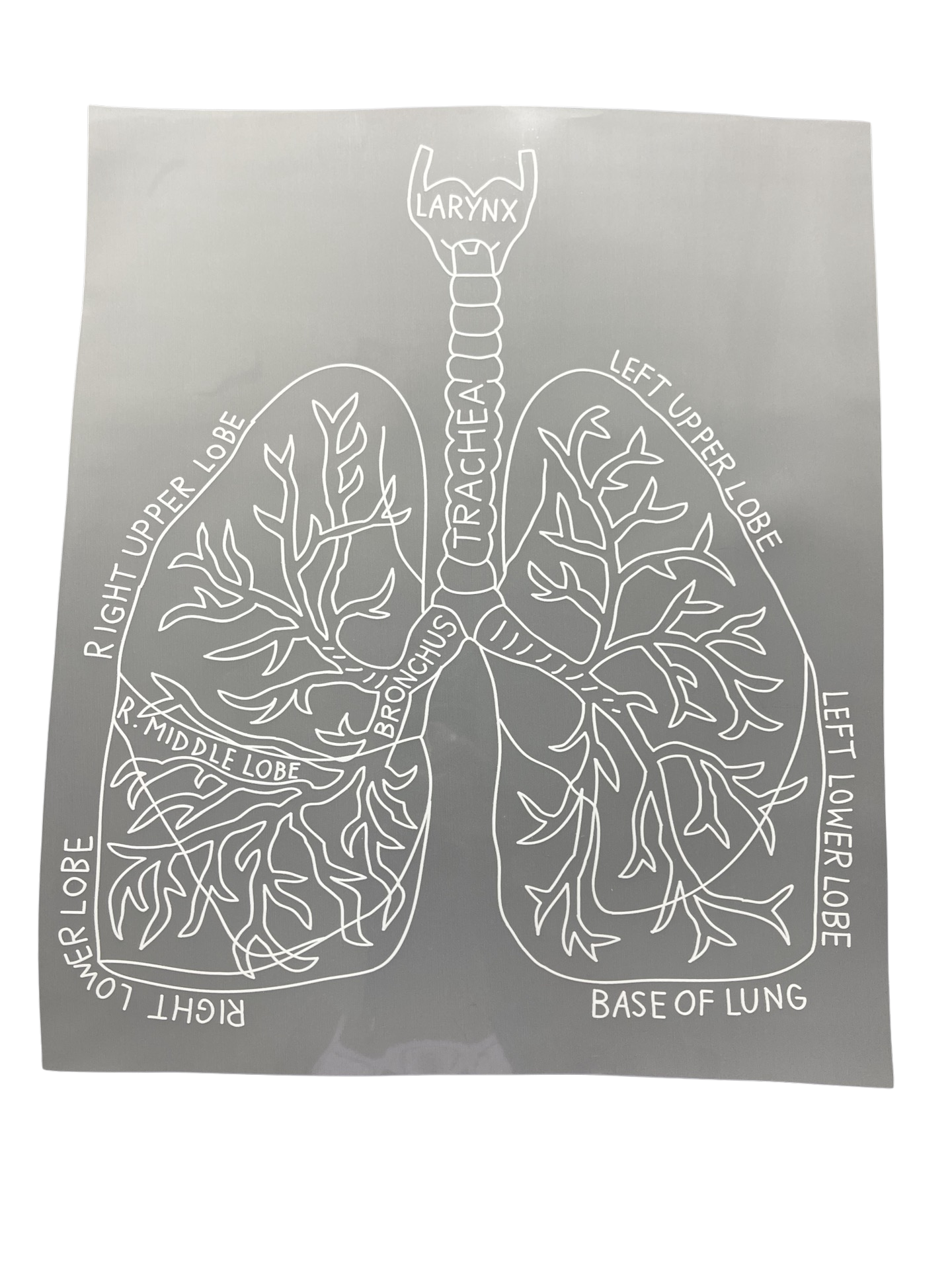 T-45 Lungs